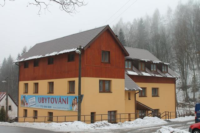 بينزيون يو إيليسكي في بيدريشوف