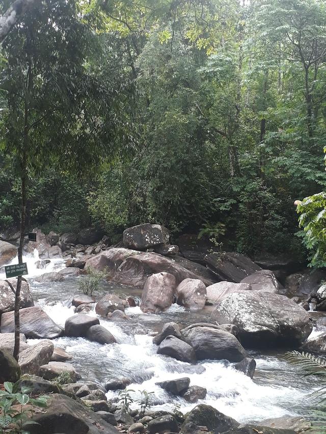 جيرانكيثا إيكو ريزورت