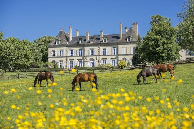 شاتوه دوجروند