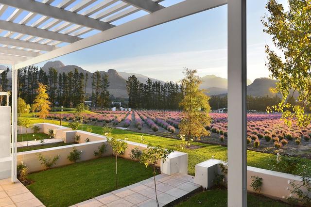 لافندر فارم جيست هاوس