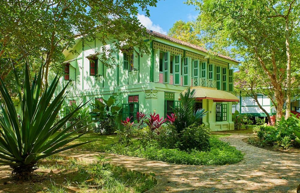 تيمبل تري ريزورت