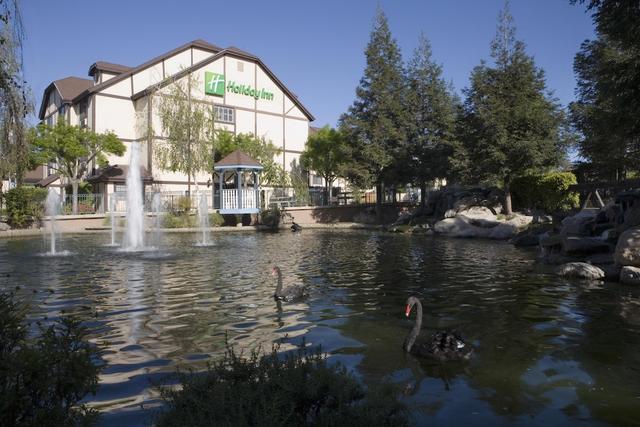 هوليداي إن سيلما - سوانكورت باي آيتش جي