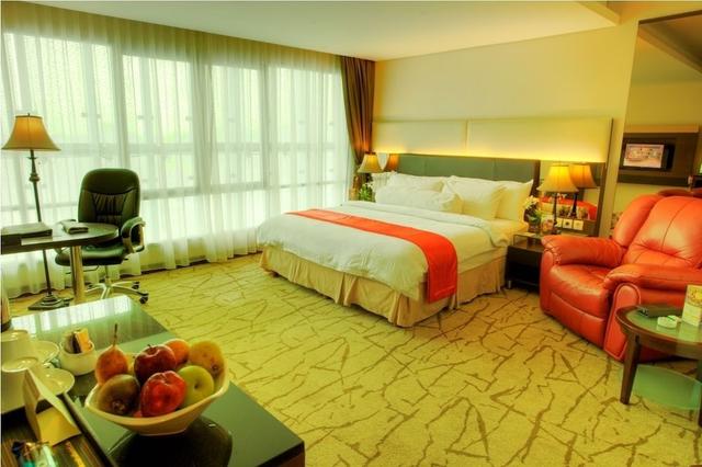 جراند سنترال هوتل بيكانبارو