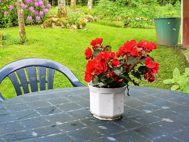 4 بيرسون هوليداي هوم إن أنيستاد