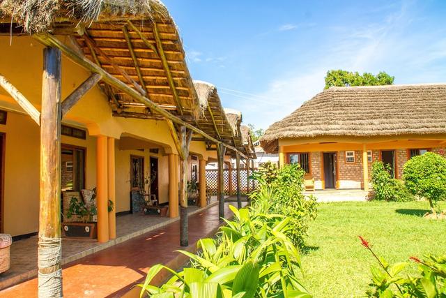 جوريلا أفريكان جست هاوس