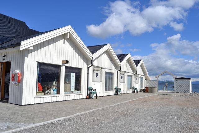 أركتيك سي سبورت