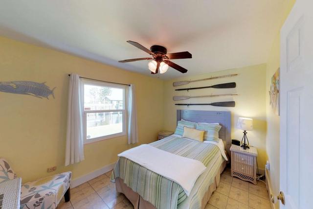 16316 تورتوجا