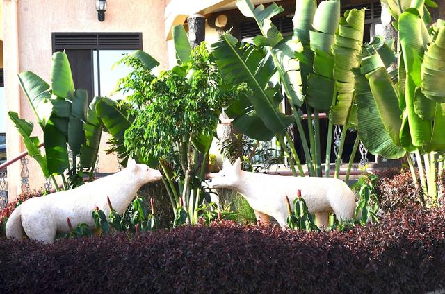 جريت وولف هوتل