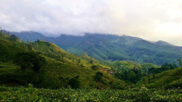 ريفر ستون هوليداي هوم ستاي