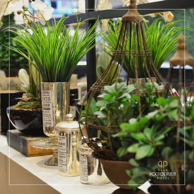 بوسيتوس بلازا هوتل