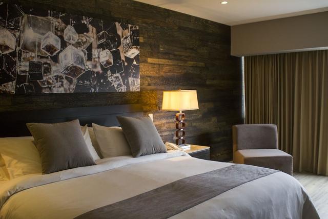 فينتورا سويتس باي دومينيون