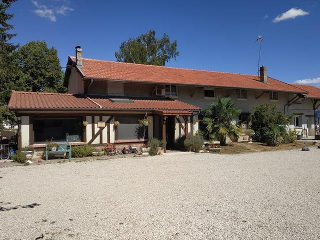 فيرم دانكورت