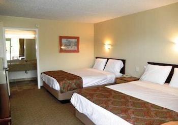 مانزفيلد إن