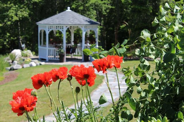 أمبيانس بد آند بريكفاست