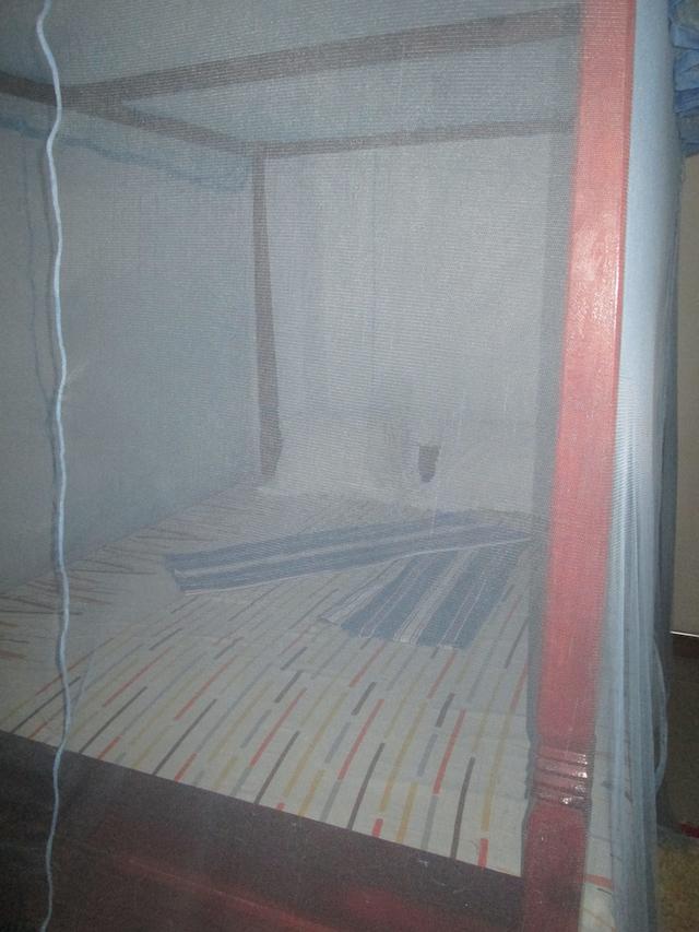 دانوشكا جيست هاوس