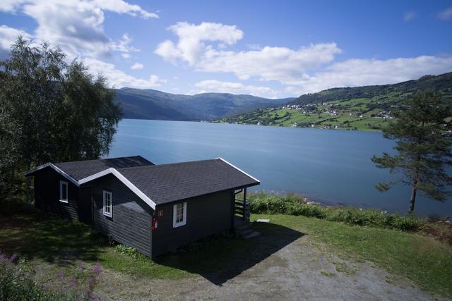 لينجمو هيتر