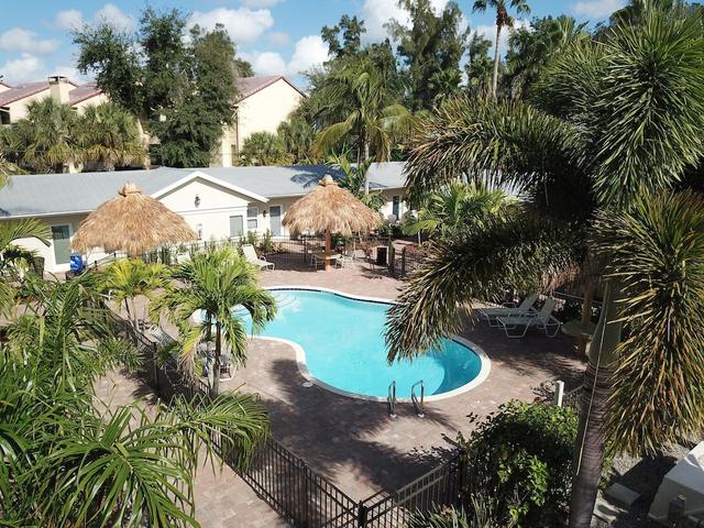 توين بالمز آت سيستا