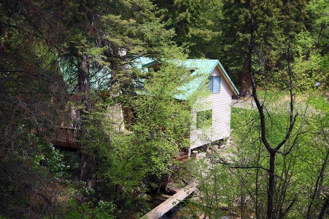 كوتدج أون ذا ستريم