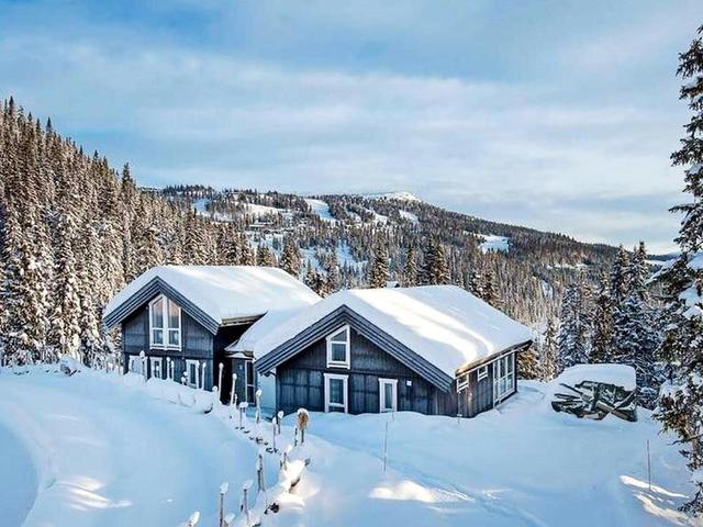 14 بيرسون هوليداي هوم إن فافانج