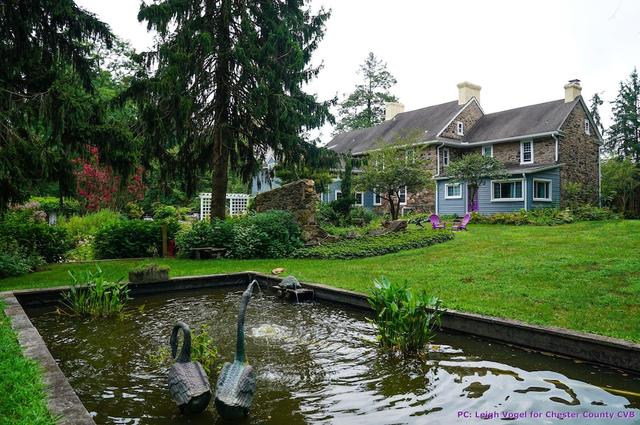 وايلد ويستيريا