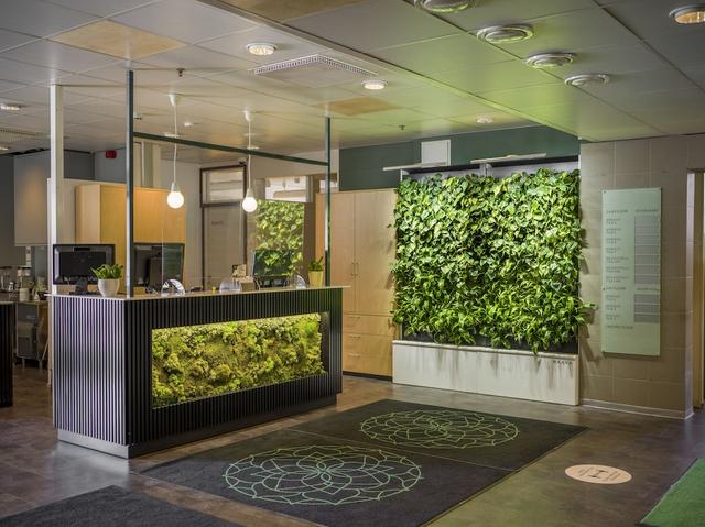 جربن ستار هوتل لاهتي