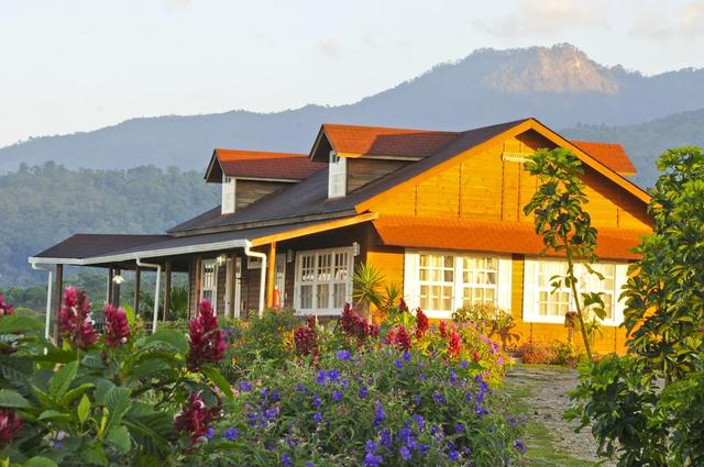 فينكا هامبورجو