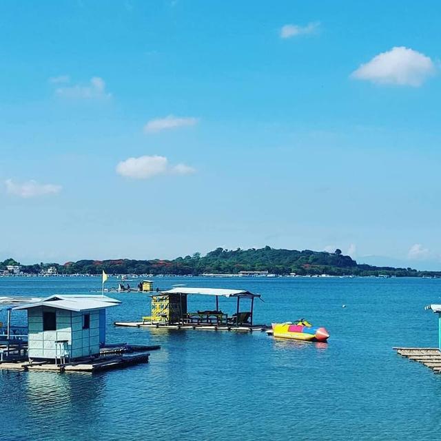 ذا بيليكانز كاستاواي