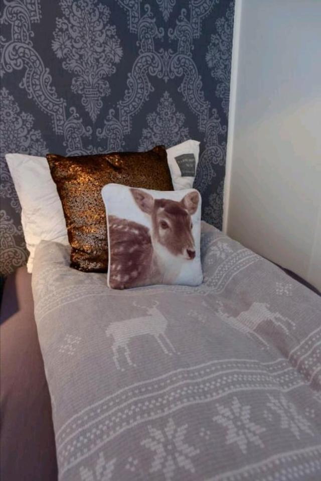 بيد آند وافلز