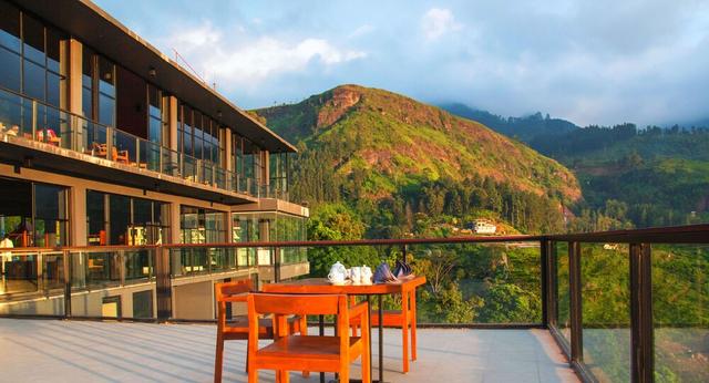 أوك راي تي بوش