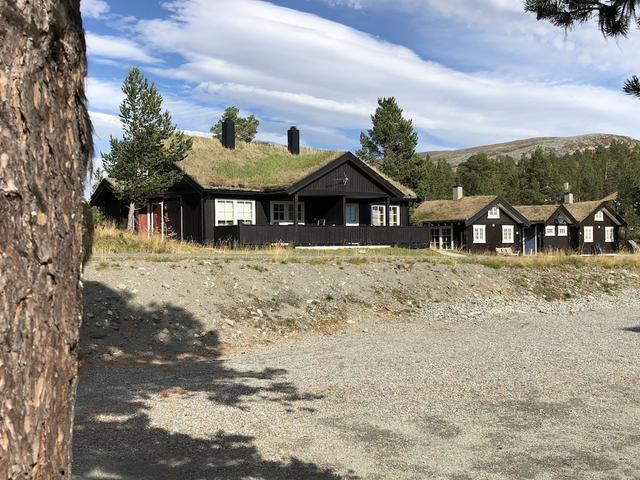 ريندسفيرك هيتير آي ليمونشوين فييل بارك