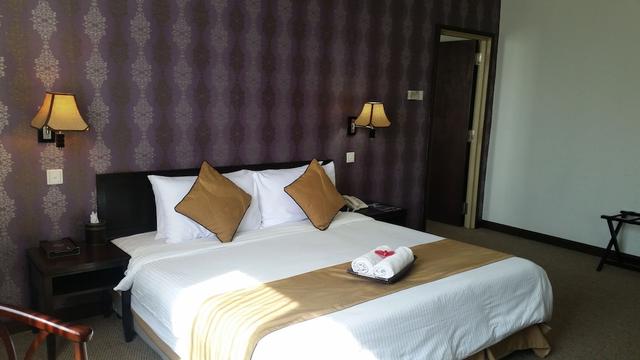 كارلتون هوتل شاه ألام