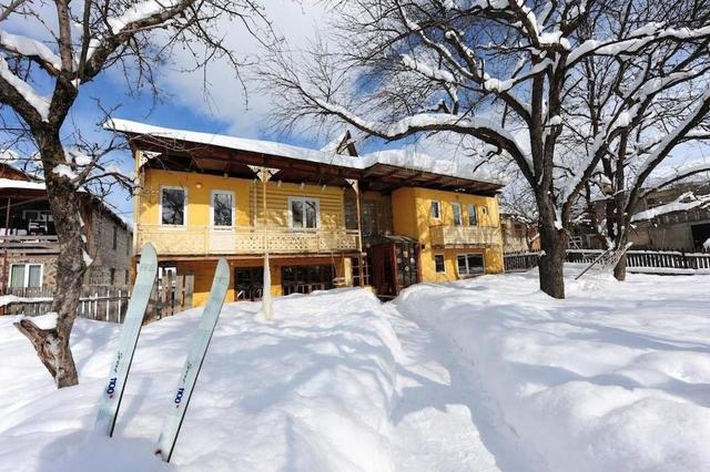 آرت فيلا باكورياني