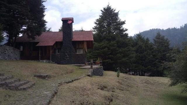 لوس فاجونس كاباناس ريستورانت بار