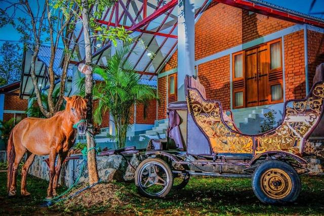 هوتل فيفيرا