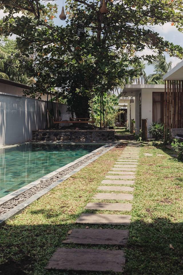 ذا نوغا هاوس