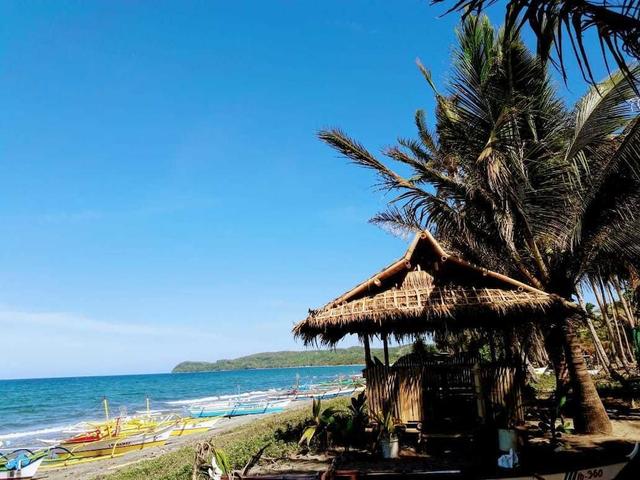 هاوس أوف ذا رايزينغ صن