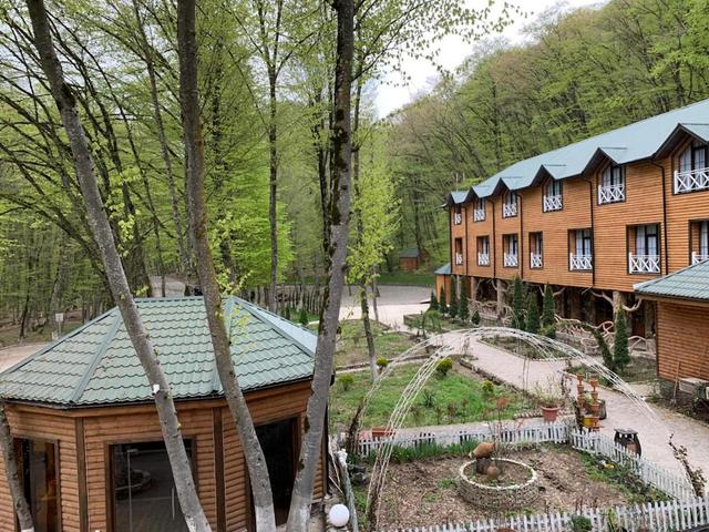 جاتشريش فوريست ريزورت