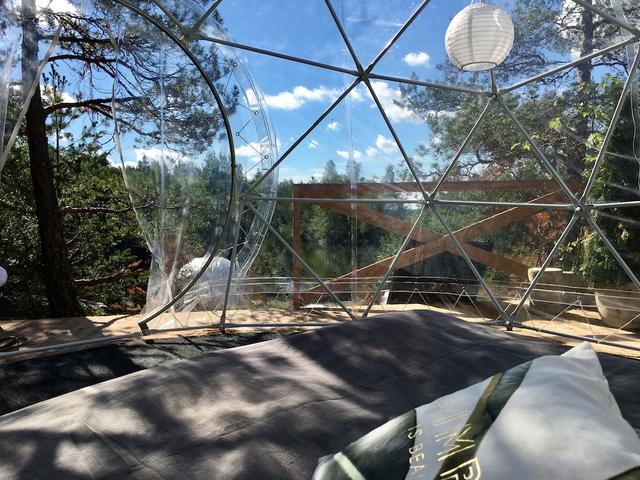 فين دوم جلامبينج