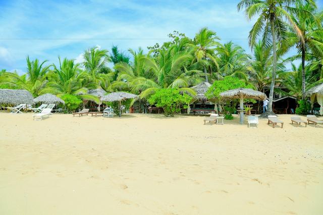 ايبيس غيست هاوس