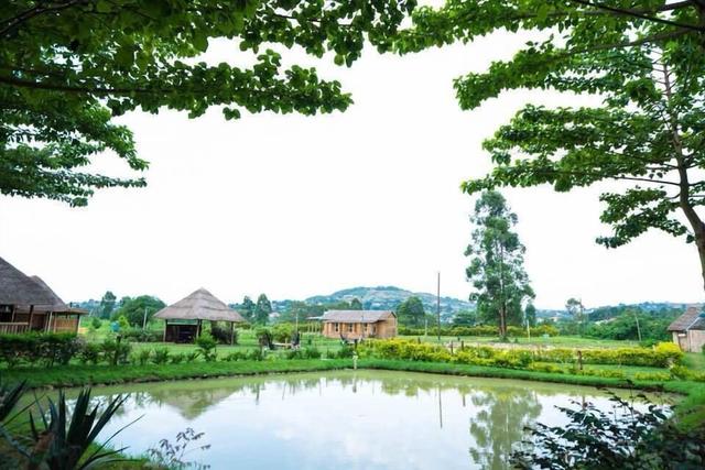 فوريفر إيكو ريزورت