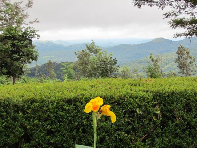 أيجبورث فيلا