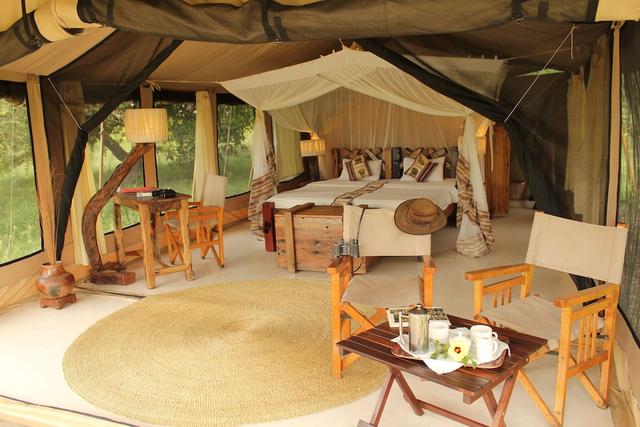 مابيتو تينتد كامب