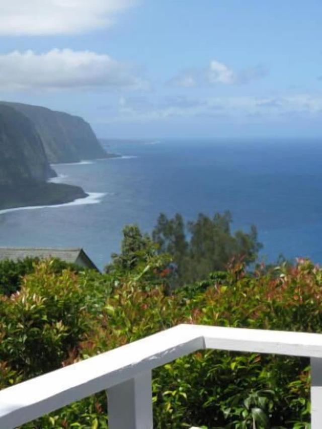 هال كوكوي أورتشارد آند كوتيدجيز