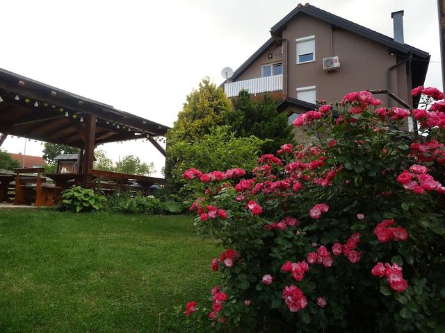 Apartments and Rooms Kristina