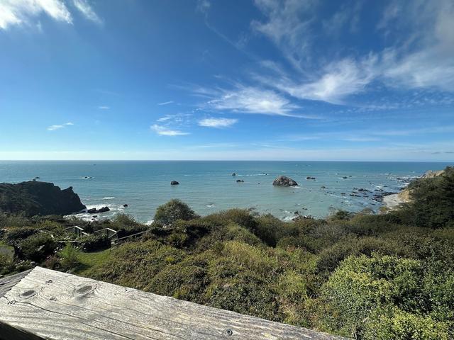 تيرتل روكس أوشنفرونت إن