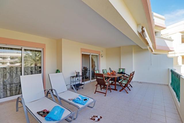 Carob Tree in Vilamoura